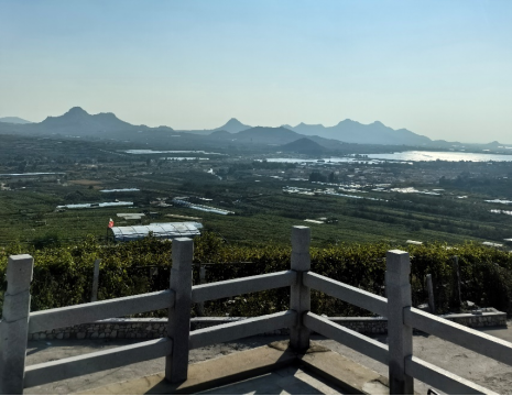 平度大澤山葡萄園引進(jìn)萊恩德土壤肥料檢測(cè)儀， 輕松掌握土壤營(yíng)養(yǎng)